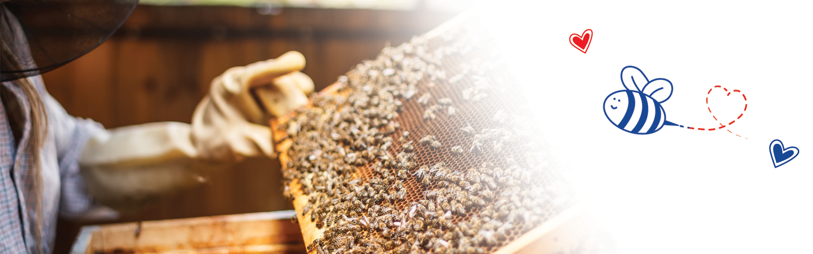 Fondanty pszczele